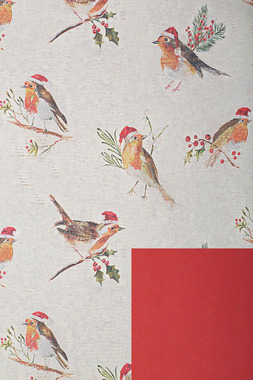 Carta da regalo terra, carta riciclata 1