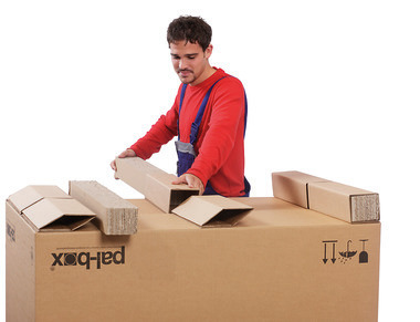 Palbox 3